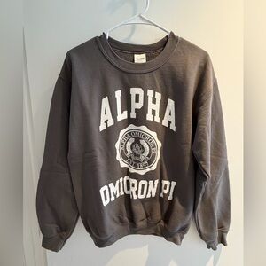 Gildan Dark Gray Alpha Omicron Pi Crewneck Sweater | Small